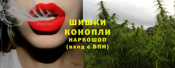 ПСИЛОЦИБИНОВЫЕ ГРИБЫ Арсеньев