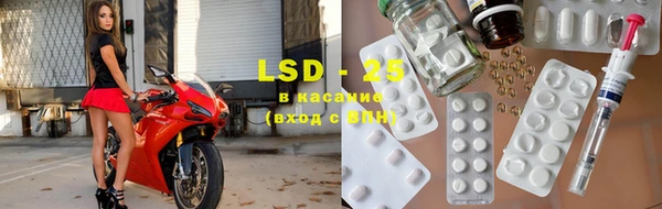 гидра Карпинск