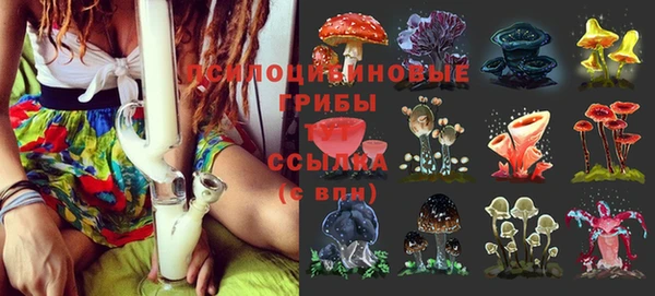 а пвп мука Армянск