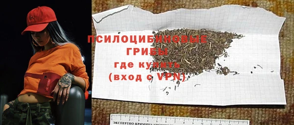 ПСИЛОЦИБИНОВЫЕ ГРИБЫ Балабаново
