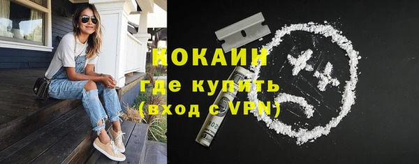 ПСИЛОЦИБИНОВЫЕ ГРИБЫ Арсеньев