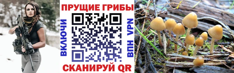 Псилоцибиновые грибы MAGIC MUSHROOMS  Кемь 